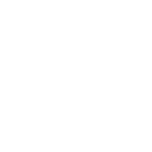 Government
